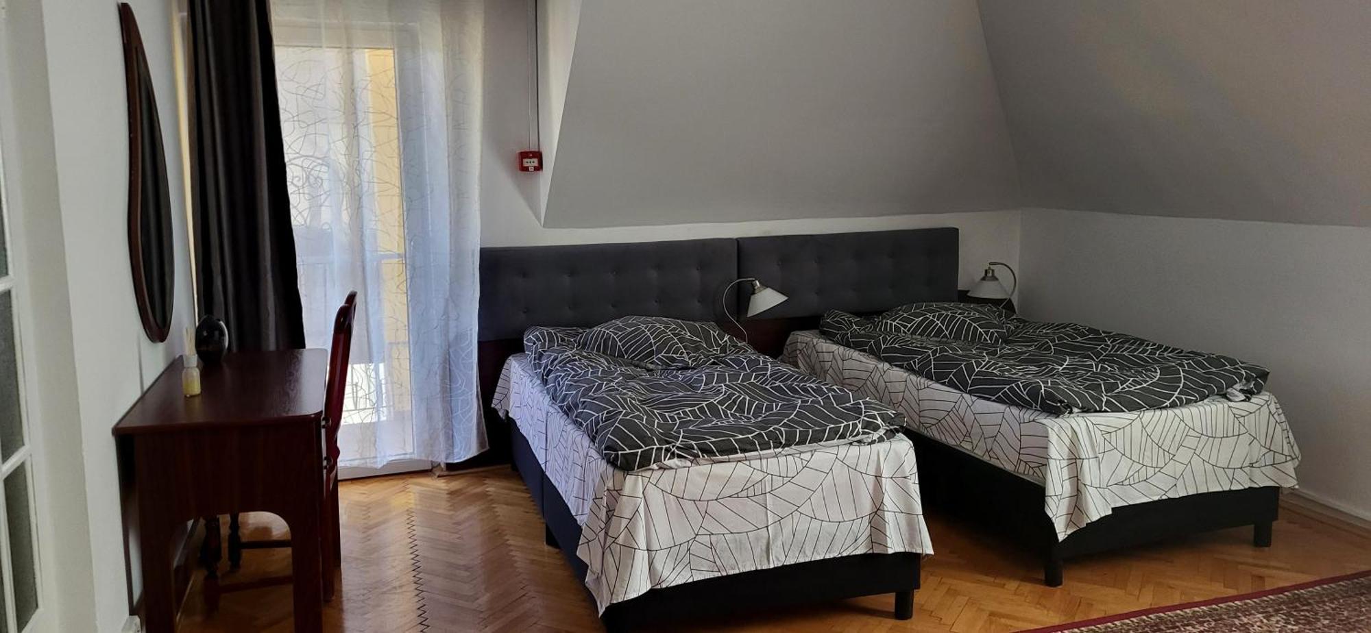 Pension Casa Leone Timisoara Exterior photo